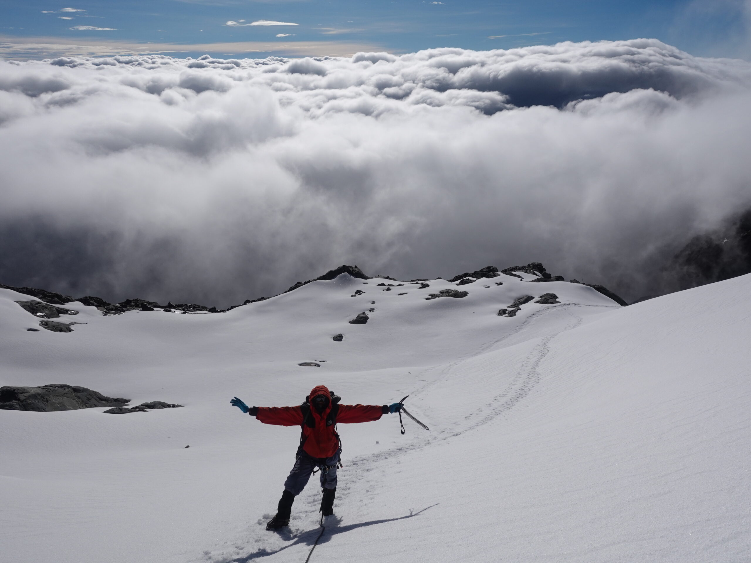 Rwenzori Trekking Safaris