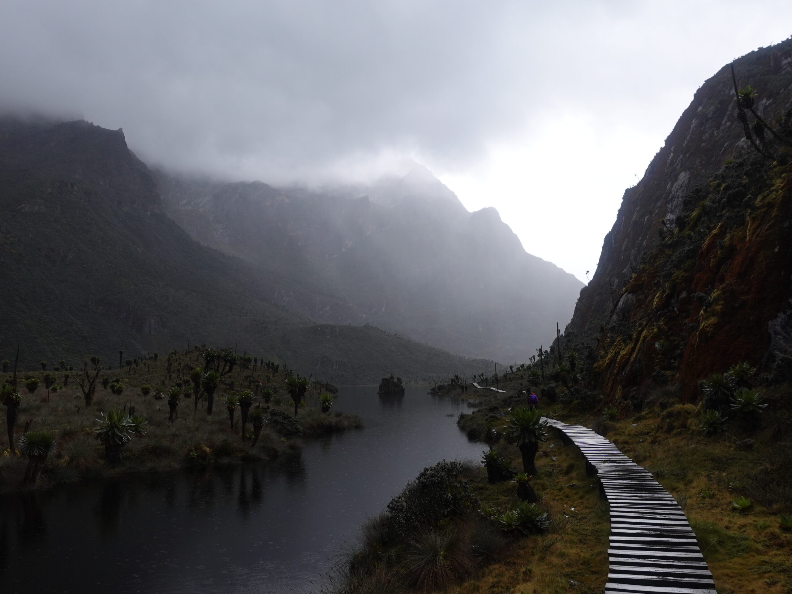 Rwenzori Trekking Safaris