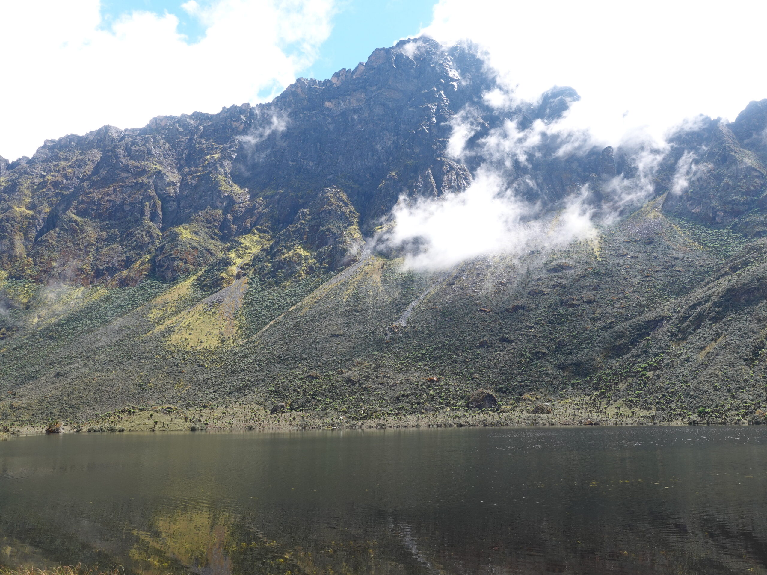 Rwenzori Trekking Safaris