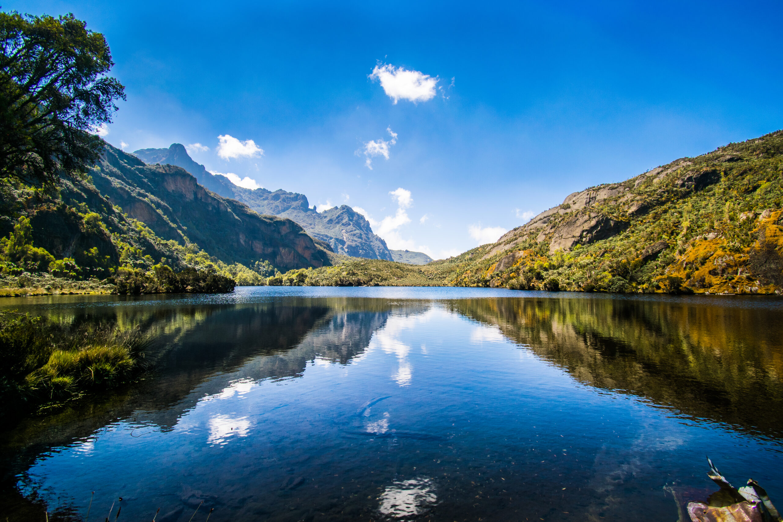 Rwenzori Trekking Safaris: Expert-Led Mountaineering Safaris to the "Mountains of the Moon"