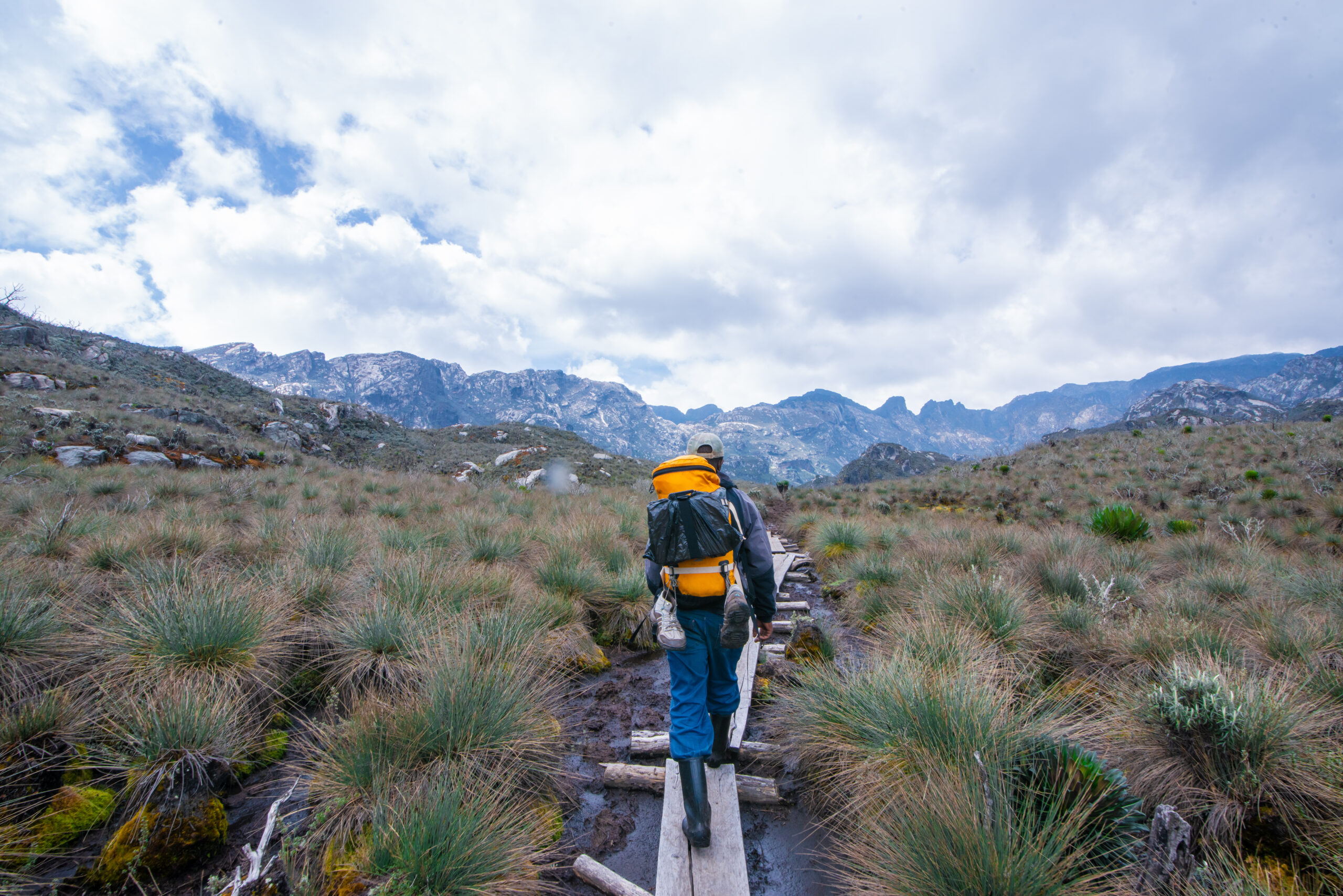 Rwenzori Trekking Safaris: Expert-Led Mountaineering Safaris to the "Mountains of the Moon"